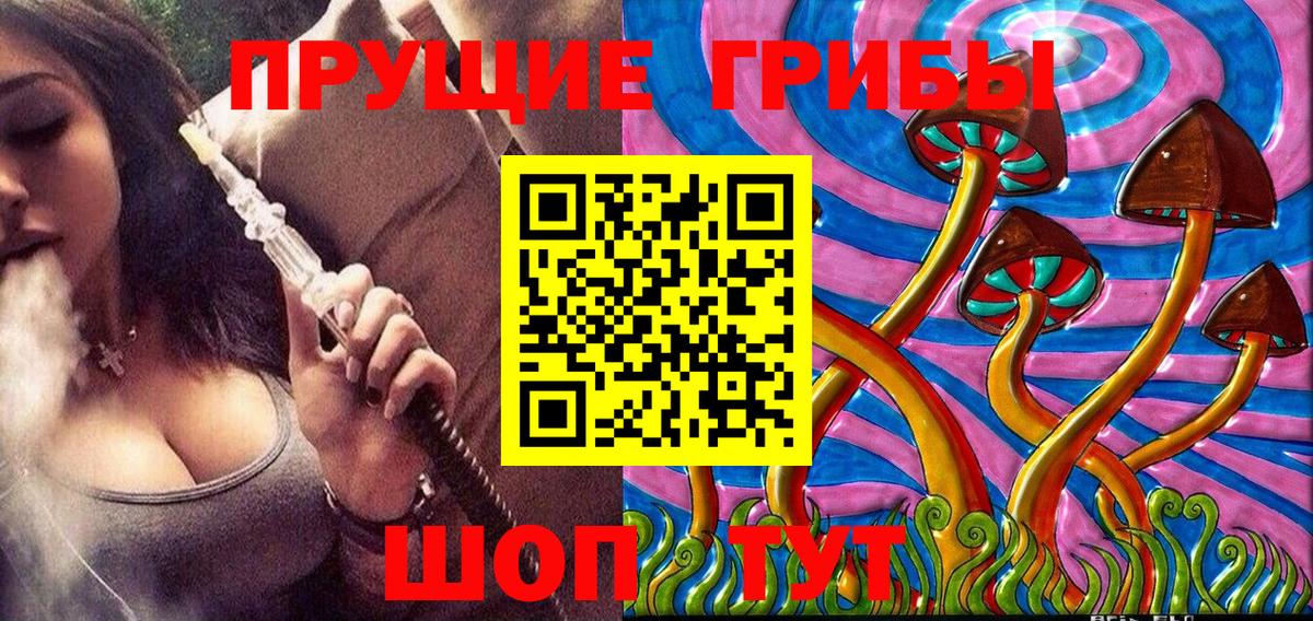 Псилоцибиновые грибы мицелий  Вход с VPN  Кимовск 